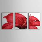 Hand Painted Oil Painting Floral Red Petals Set of 3 with Stretched Frame 1307-FL0150 
