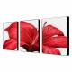 Hand Painted Oil Painting Floral Red Petals Set of 3 with Stretched Frame 1307-FL0150 