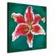Hand-painted Oil Painting Floral 24 x 24 Square 