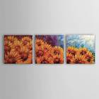 Hand-painted Oil Painting Floral Sunflower Set of 3 1302-FL0068 