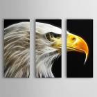 Hand Painted Oil Painting Animal Set of 3 with Stretched Frame 1307-AN0100 