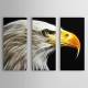 Hand Painted Oil Painting Animal Set of 3 with Stretched Frame 1307-AN0100 