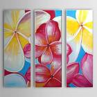 Hand Painted Oil Painting Floral Set of 3 with Stretched Frame 1307-FL0151 