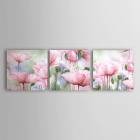 Hand-painted Floral Oil Painting with Stretched Frame - Set of 3 