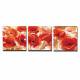 Hand-painted Floral Oil Painting with Stretched Frame - Set of 3 