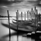 Printed Art Landscape Venice Santa Maria della Salute by Nina Papiorek 