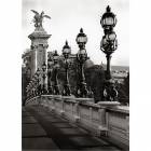 Printed Art Landscape Pont Alexander by Chris Bliss 