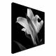 Printed Art Floral Lily by Michael Harrison 