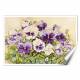 Printed Art Floral White and Purple Pansies by Joanne Porter 