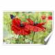 Printed Art Floral Poppies And Butterfly by Bill Makinson 