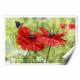 Printed Art Floral Poppies And Butterfly by Bill Makinson 
