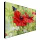 Printed Art Floral Poppies And Butterfly by Bill Makinson 