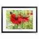 Printed Art Floral Poppies And Butterfly by Bill Makinson 