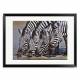 Printed Art Animal Zebra Thirsty Work by Pip McGarry 