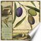 Printed Art Botanical Tuscan Delight I by Lisa Audit 