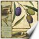 Printed Art Botanical Tuscan Delight I by Lisa Audit 