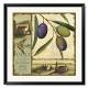 Printed Art Botanical Tuscan Delight I by Lisa Audit 